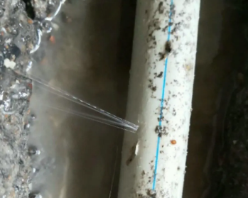 宾阳卫生间测漏水多少钱